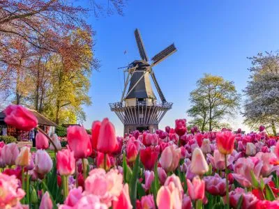 Netherlands landmark pic
